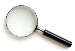magnify